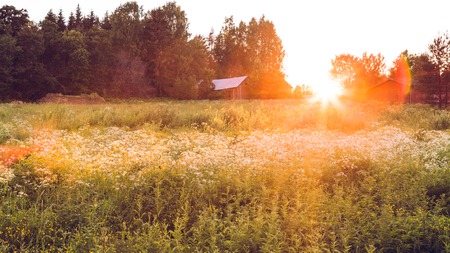 Meadow landscape at sunset and big lens flareの写真素材