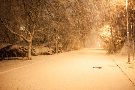 a lot of snowfall and empty walkwayの写真素材