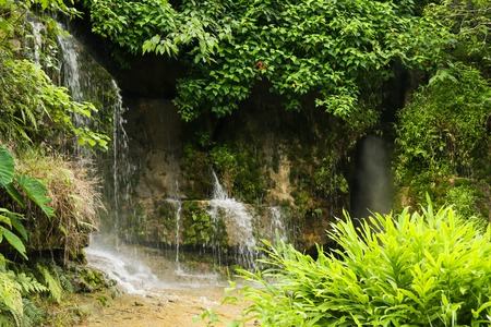Small waterfall in the jungleの写真素材