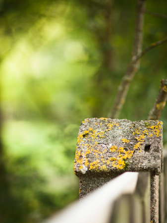 Stone fence and blurred forest natural background