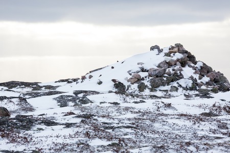 Rocky landscape and snow on top of the arctic hillの写真素材