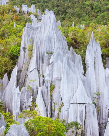 limestone pinnacles formation at gunung mulu national park borneo malaysiaの写真素材