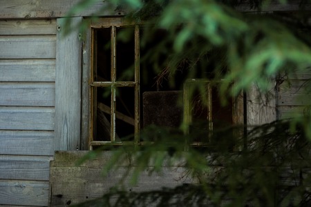 Abandoned cabin in the woods window through branchesの写真素材