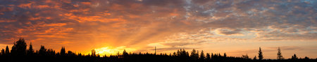 Cloudscape panorama of sunrise over forest in finlandの写真素材