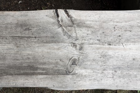 Aged natural gray wood texture backgroundの写真素材