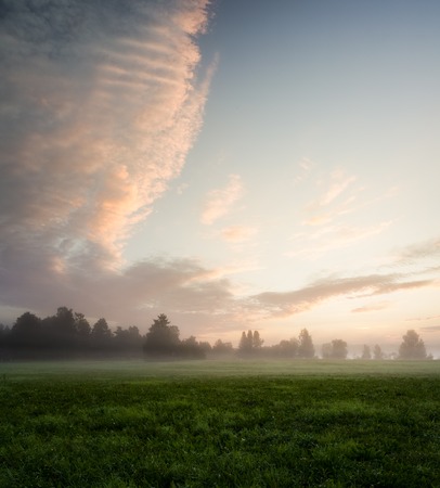 Misty meadow landscape at dawnの写真素材