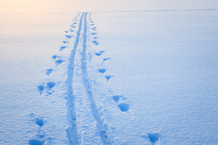Ski tracks snow lake winter finlandの写真素材