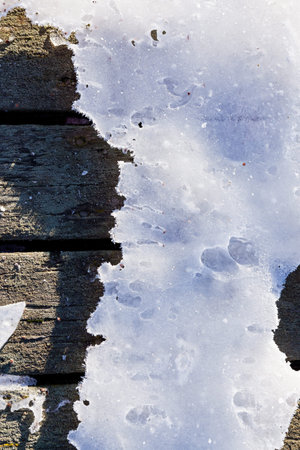 Frozen planks of old pier at winter morning