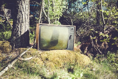 Old abandoned analog television in forestの写真素材