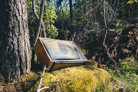 Old abandoned analog television in forestの写真素材