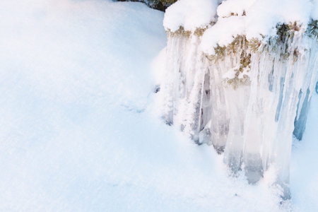 Beautiful icicles ice formation on small tree