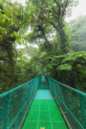 Hanging suspension bridge in Monteverde cloud forest reserve Costa Ricaの写真素材