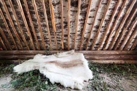 Stone age birch bark hut inside and reindeer skinの写真素材