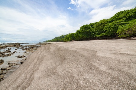 Tropical beach and forest at santa teresa costa ricaの写真素材