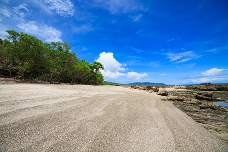 Tropical beach and forest at santa teresa costa ricaの写真素材