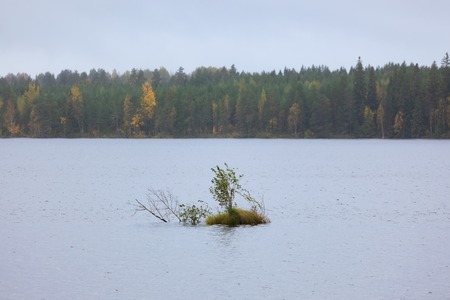 Small islet drift middle of lakeの写真素材