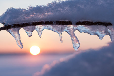 Sunset and icicles abstract