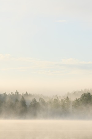 Foggy forest and lake at dawnの写真素材