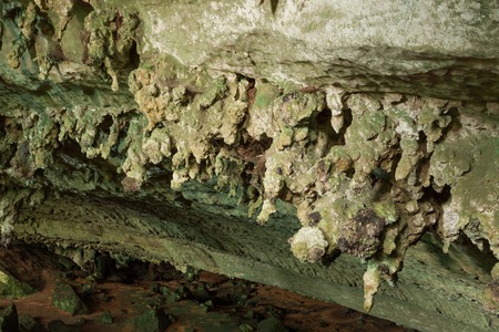 Cave in Niah national parkの写真素材