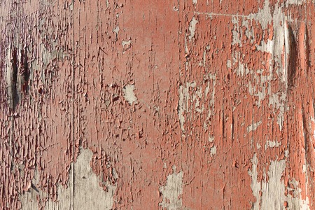 Damaged plywood textureの写真素材