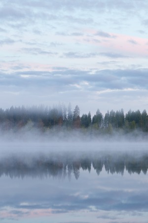 Calm foggy lake scape summer nightの写真素材