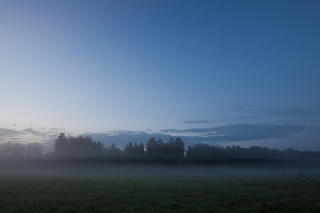 Foggy grassland at dawn landscape nature backgroundの写真素材