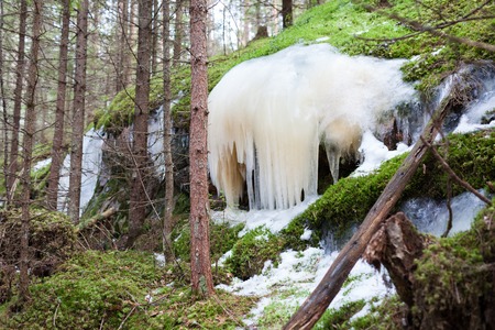 Icicles formed over rock in forest at springの写真素材