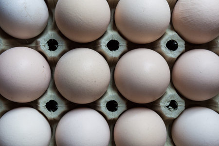 Chicken eggs in carton cell
