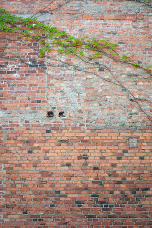 Old messy brick wall texture background exteriorの写真素材