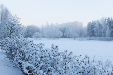 Play field at winterの写真素材