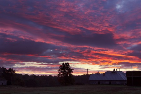 Vivid clouds at dawn before sunrise cloudscapeの写真素材