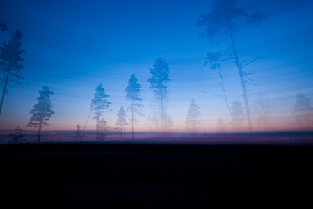Trees silhouttes and sky abstract landscape long exposureの写真素材