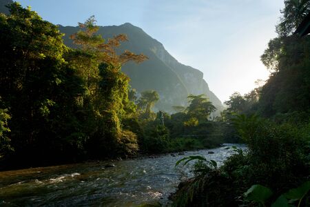Lush forest scene at morning sunrise in Gunung Mulu Borneo Malaysiaの写真素材