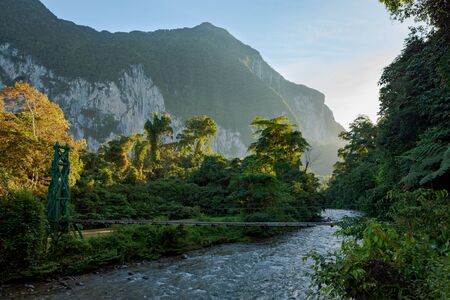 Lush forest scene at morning sunrise in Gunung Mulu Borneo Malaysiaの写真素材