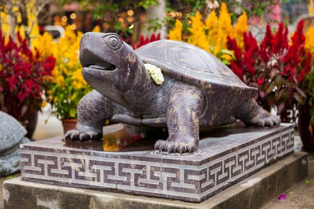 Turtle stone statue in Hong Kong outdoorsの写真素材