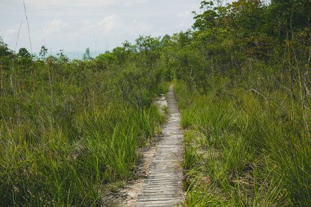 Empty long wooden path at cloudy day in Bako national park Sarawak Malaysia