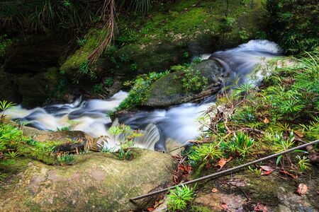 Small waterfall at the jungle of bako national park in malaysia borneoの写真素材