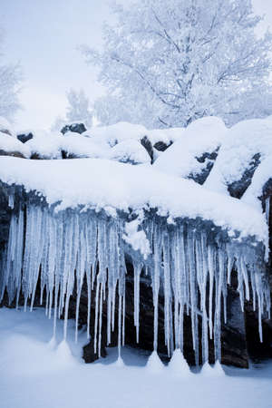 Row of big frosty icicles in natureの写真素材