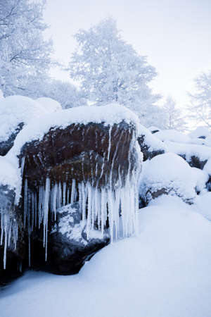 Row of big frosty icicles in natureの写真素材