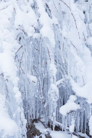 Row of big frosty icicles in natureの写真素材