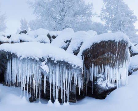 Row of big frosty icicles in natureの写真素材