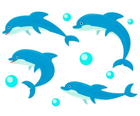 Set of four  dolphins on whiteのイラスト素材