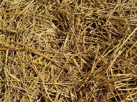 Straw patternの写真素材