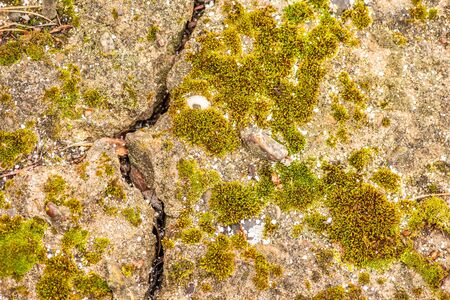 Old concrete cement with cracks and natural destruction from time and weather conditionsの写真素材