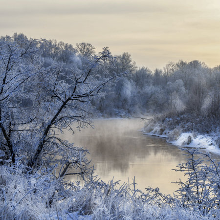Foggy morning. There is fog on the river. Frost on tree branches and grass.