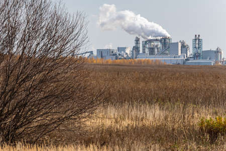 Chemical Plant factory with smoke stack. Smoke emission. Petrochemical industry with distillation column, drum and pipe in oil and gas. Ecology and environmental protection problems, air pollutionの写真素材