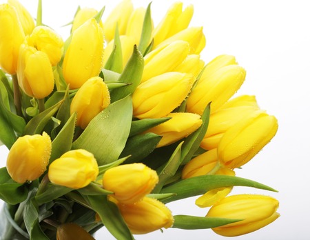 Spring tulips bouquet  in glass vase with waterの写真素材