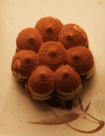 italian dessert - tiramissuの写真素材