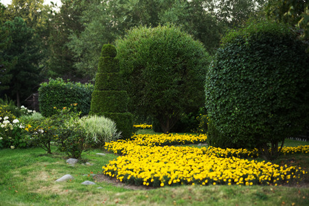 Beautiful summer garden design. Great landscape.の写真素材