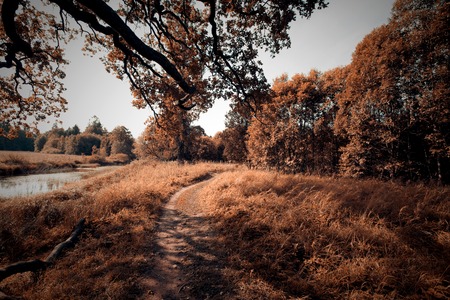 autumn landscape, near  riverの写真素材